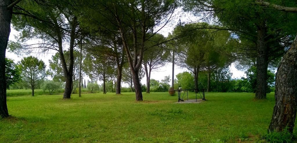 Agriturismo Podere Caggiolo - Swimming Pool & Air Conditioning Marciano della Chiana Екстер'єр фото